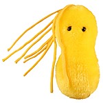Peluche de Microbio "Úlcera"
