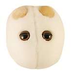 Peluche de Microbio "Cerveza & Pan"