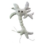 Peluche de Microbio "Célula Cerebral"