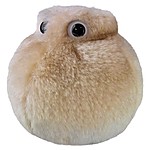 Peluche de Microbio "Célula Grasa"