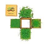 Mini Jardín Comestible