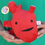 Corazón de Peluche Grande - Serie Órganos