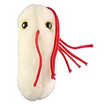 Peluche de Microbio 'Salmonela'