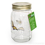 Mariposa en Bote de Cristal