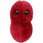 Peluche Microbio "Faringitis"