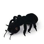 Peluche Hormiga Negra