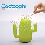 Cactus Palillero "Cactooph"