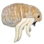 Peluche Pulga