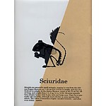 Carpeta Transparente con Esqueleto