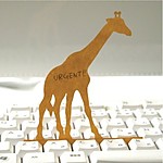 Notas para el Teclado "Deng On" Jirafa