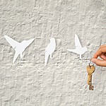 Colgadores Adhesivos de Pájaros