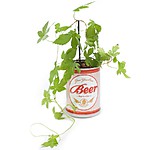 Jardín de Cerveza