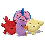 Set de 4 Peluches de Órganos