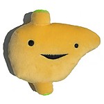 Hígado de Peluche - Serie Órganos