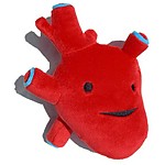 Corazón de Peluche - Serie Órganos