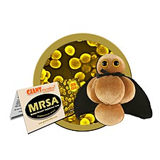 Peluche de Microbio MRSA