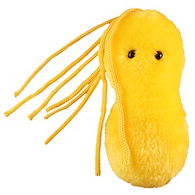 Peluche De Microbio Úlcera