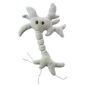 Peluche de Microbio Célula Cerebral