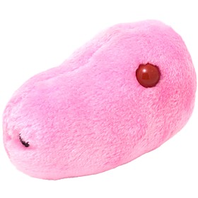 Foto Peluche de Microbio 
