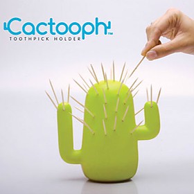 Cactus Palillero Cactooph