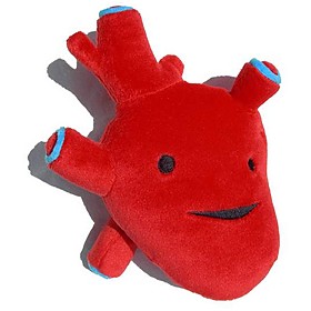 Corazón de Peluche Serie Órganos