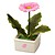 O de una gerbera rosa.