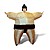 Disfraz Inflable de Sumo, Entrenador y Chef