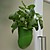 Hierbas Ecológicas 'Beanpod'