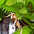 ¡Los insectos ya no serán un problema!