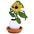 "Eggling" Planta Huevo Margarita / Girasol