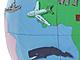 Pega los animales en los distintos países del mundo