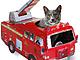 Tu gato puede ser bombero por un día