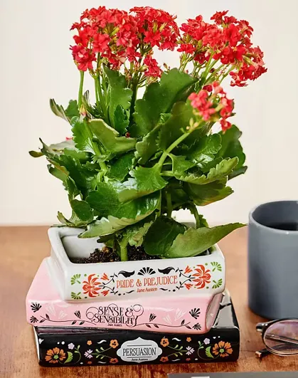 Regalos para mujeres