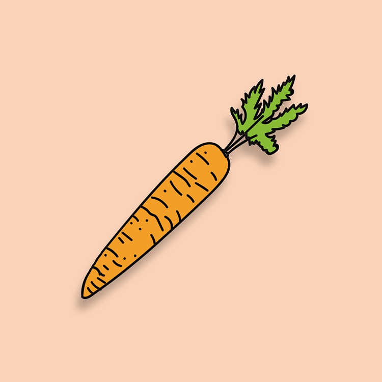 Ilustración de una zanahoria