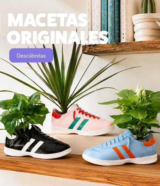 Macetas originales 2026