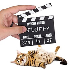Claqueta para Vídeos de Gatos