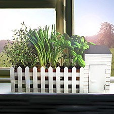 Mini huerto de interior para cultivar plantas aromáticas