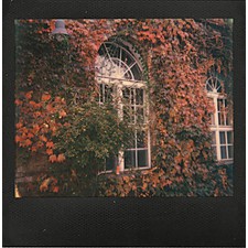 Película Color con Marco Negro para Cámaras Polaroid 600