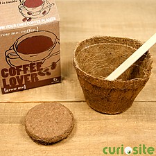 Kit para Plantar Café