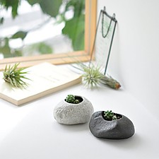 Kits de cultivo en macetita con forma de piedra