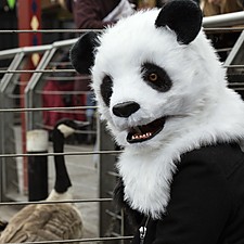 Máscara de Oso Panda con Pelo
