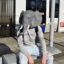 Máscara de cabeza de elefante