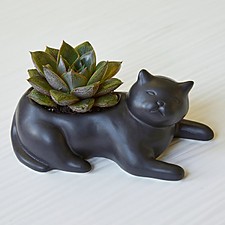 Maceta original con forma de gato negro