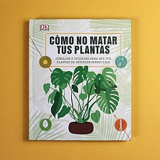 Guía: Cómo no matar tus plantas.