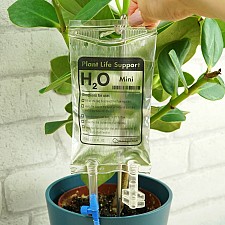 Mini plant life support: el autorriego para macetas más original