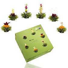Caja con 6 variedades de flores de té verde