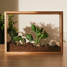 Kit para crear un mini jardín en un marco de madera
