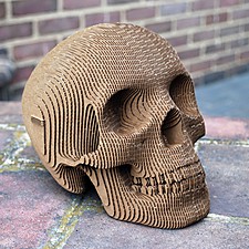 Cráneo Humano de Cartón 