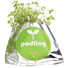 Plantas Empaquetadas, 'Podling'