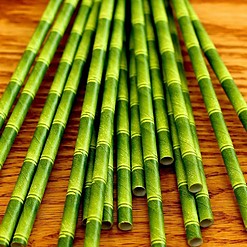 Pajitas de Papel Bamboo Pequeñas